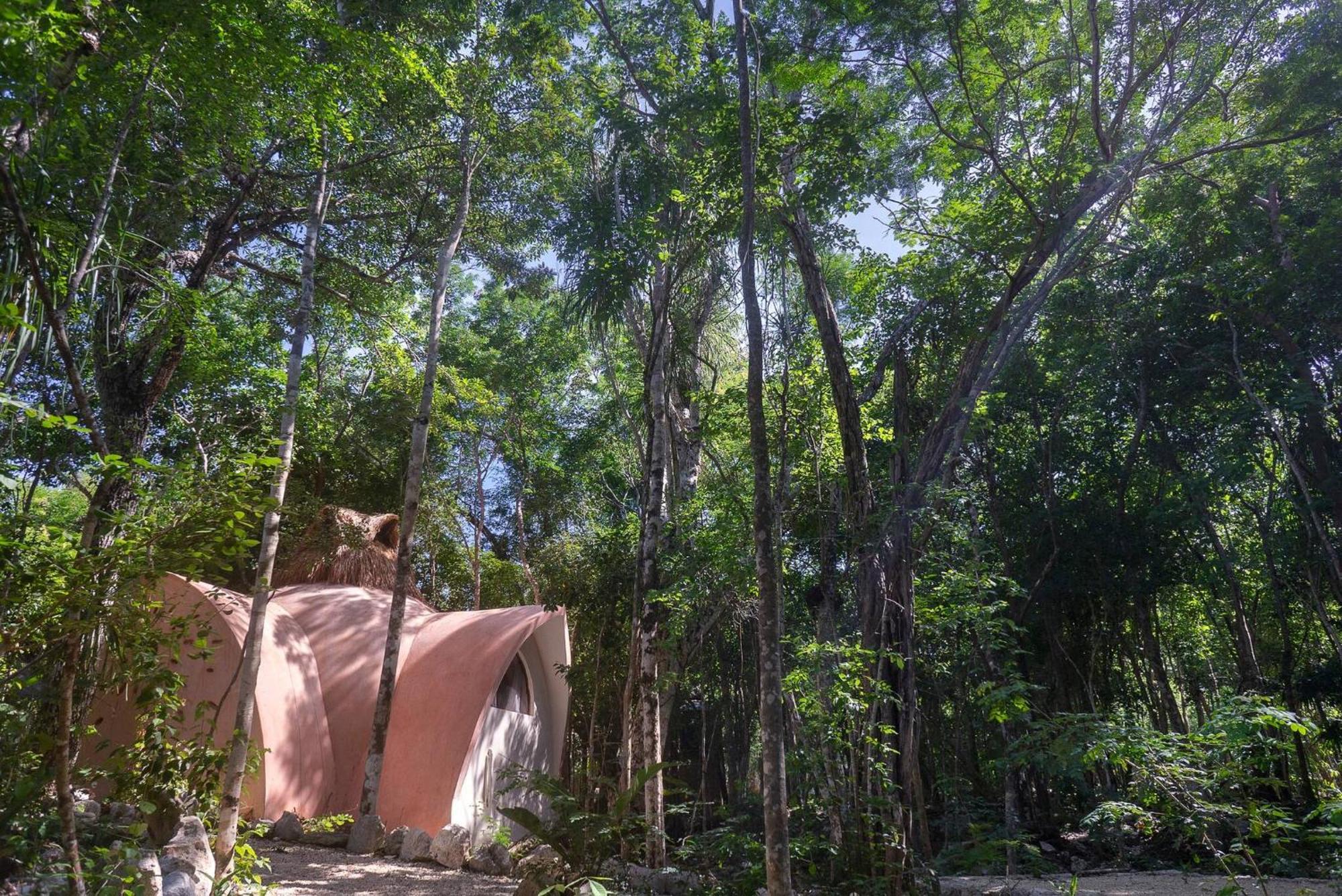 In - Ecolush Couple Mayan Dome Cenote Bikes Guest house *